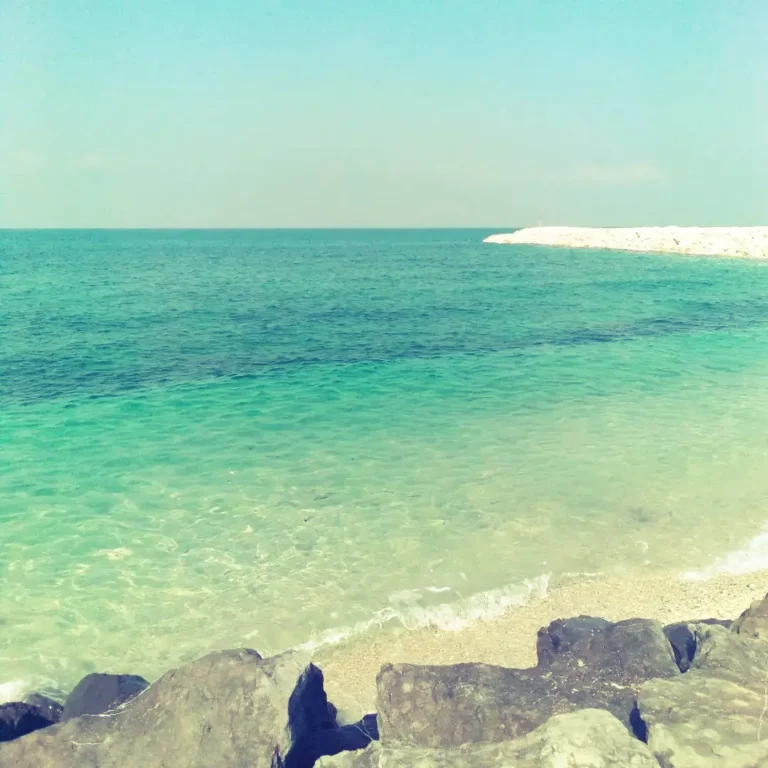 Mangrove Beach Umm Al Quwain Dubai Guide: A Coastal Retreat
